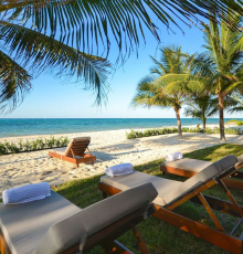 MaxLife Real Estate in México